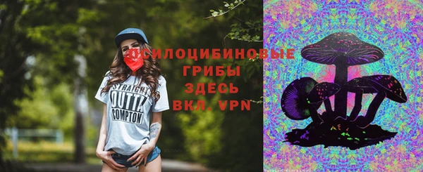 круглые Осташков