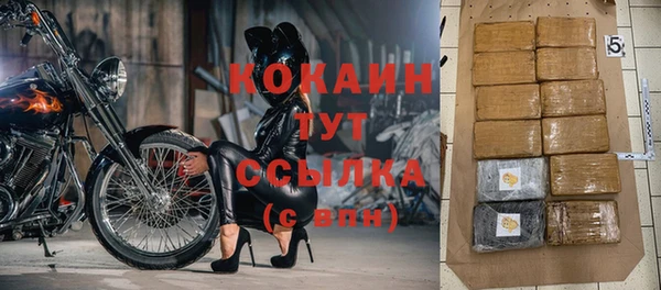 apvp Осинники
